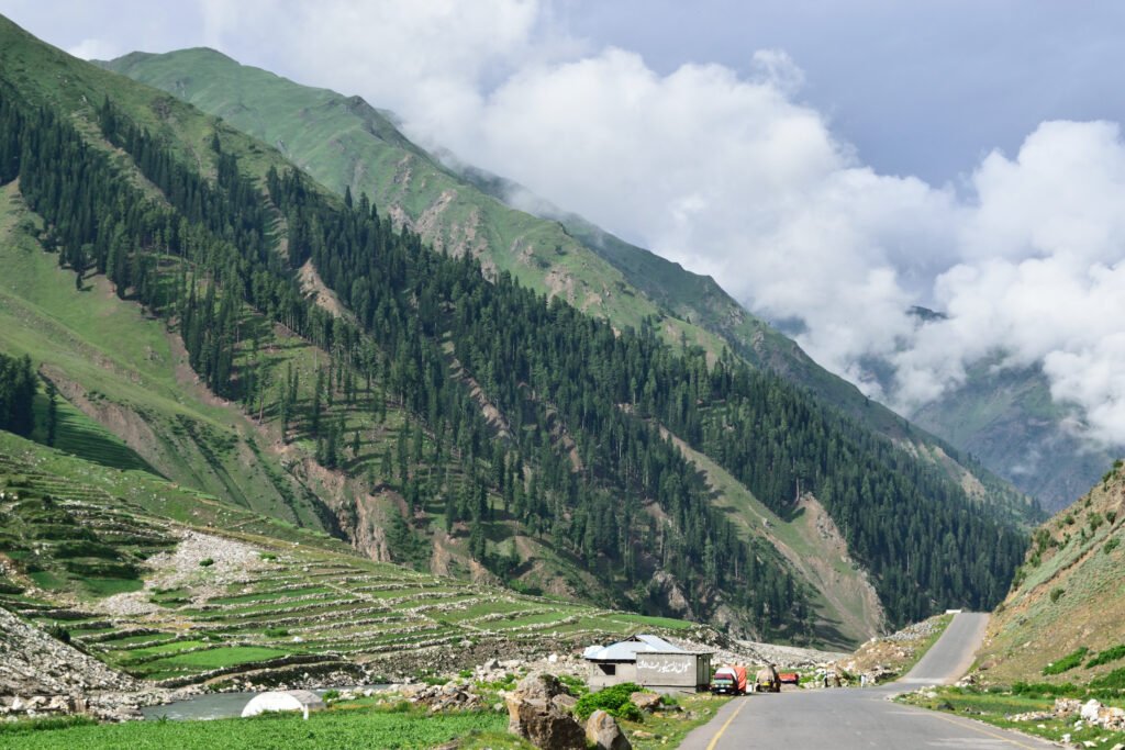 Jalkad