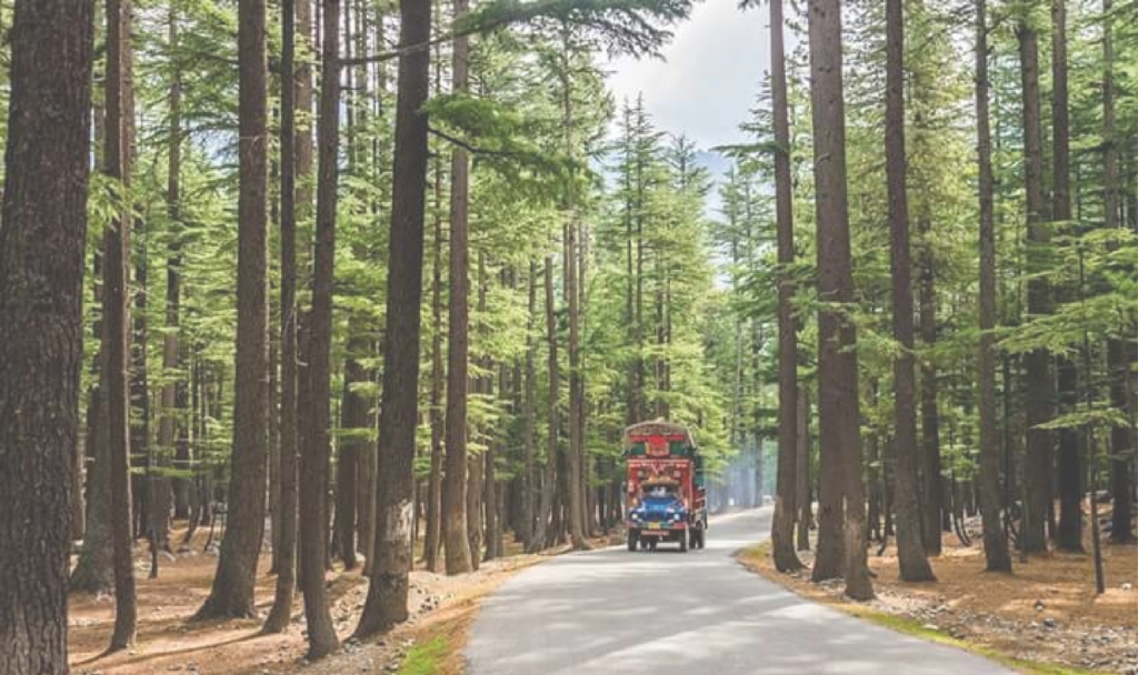 World Tourism Day, Swat Valley, Ushu Forest