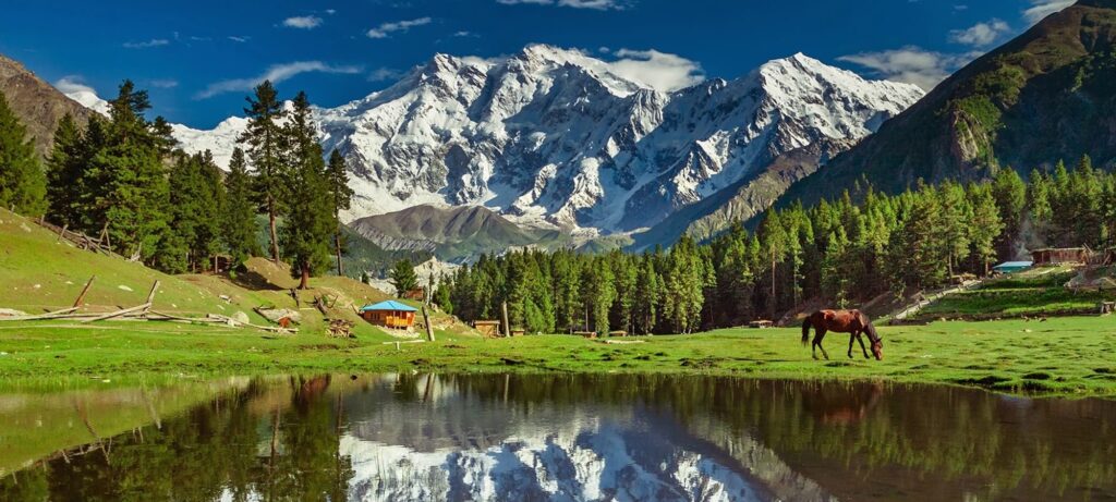 World Tourism Day, Fairy Meadows